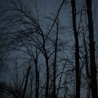 796221805 - 2013  &copy;Александр Олевский